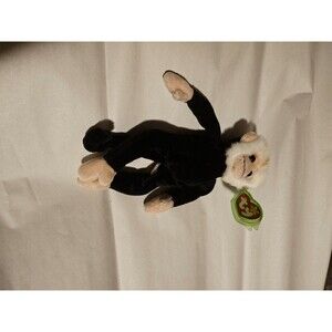 Ty Beanie Babies mooch